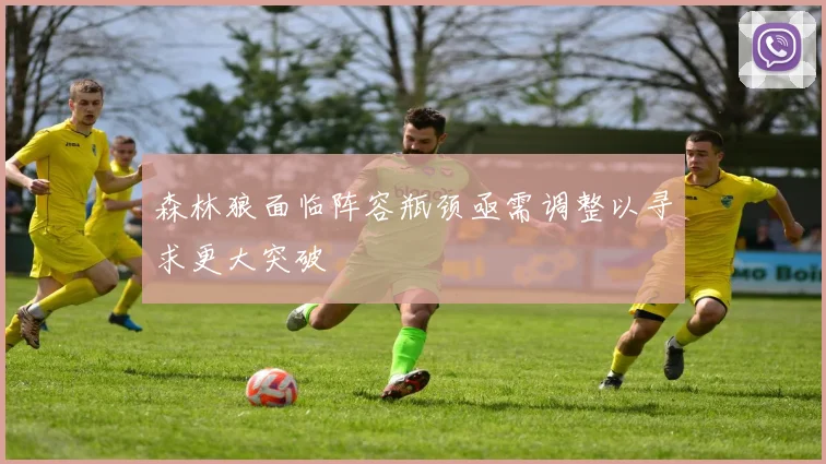 森林狼面临阵容瓶颈亟需调整以寻求更大突破